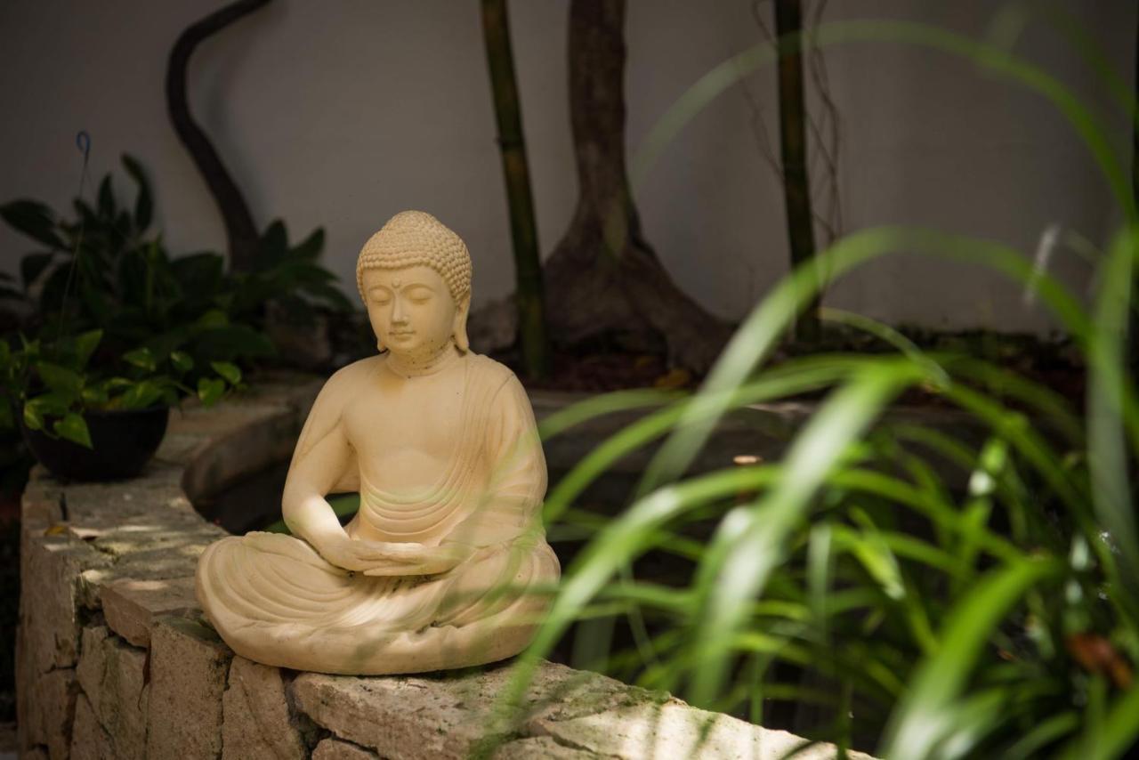 Ocean Zen On 5th Avenue - Adults Only Apartahotel 4*